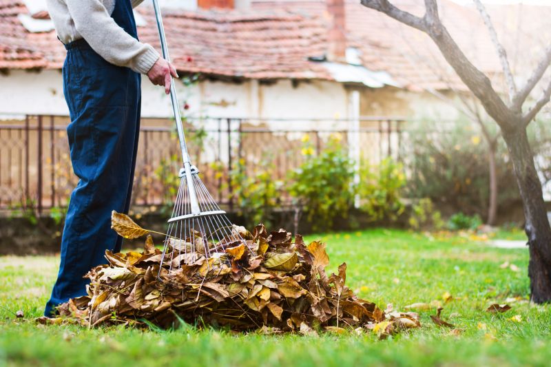 Removing Leaves from the Lawn