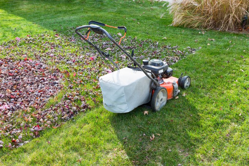 Final Fall Lawn Inspection
