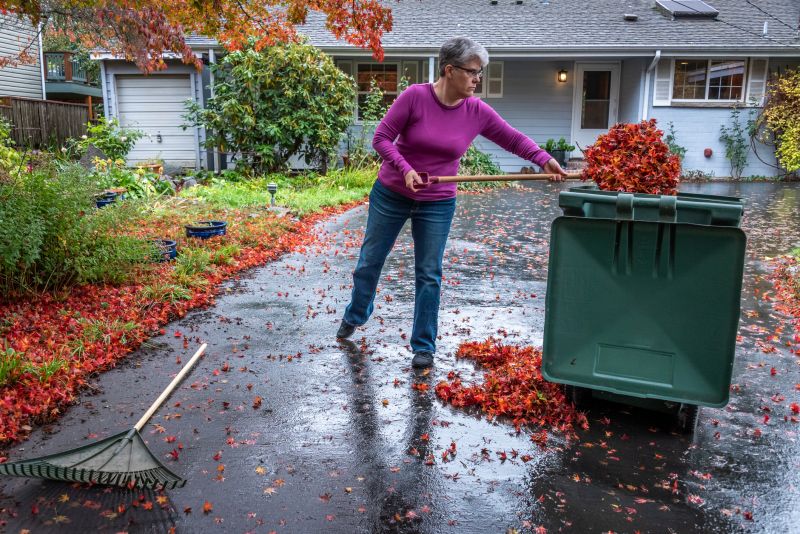 Proper Leaf Disposal Methods