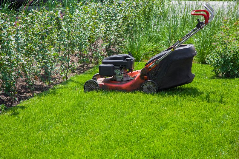 Healthy Lawn After Mowing