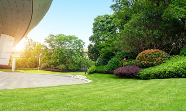 Commercial Lawn Mowing in Ithaca