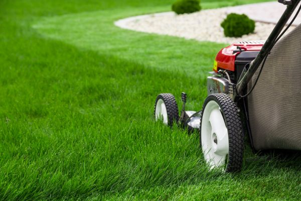 Grass Cutting Service in Ithaca