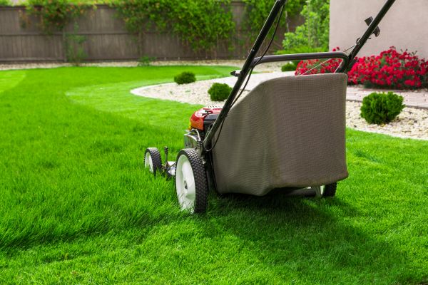 Grass Mowing in Ithaca