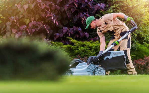 Lawn Care And Maintenance in Ithaca