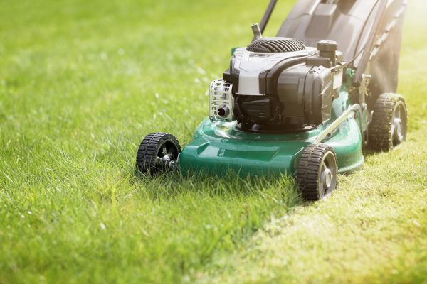 Cost of Yard Cutting in Ithaca