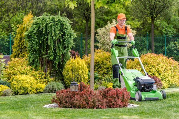 Yard Service in Ithaca