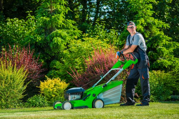 Yard Work Service in Ithaca