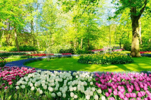 Spring Lawn Care in Ithaca