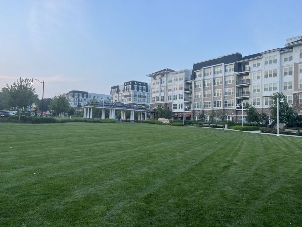 Urban Lawn Care in Ithaca