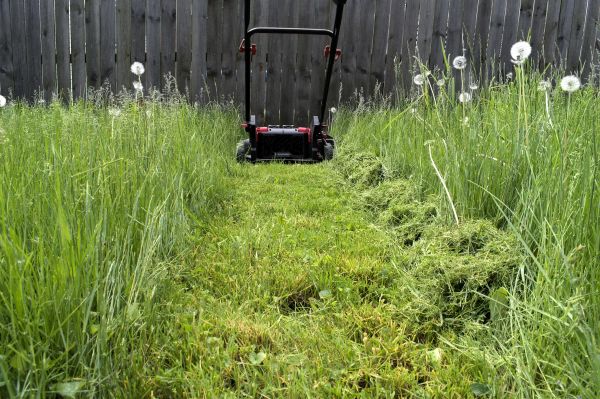High Grass Mowing in Ithaca