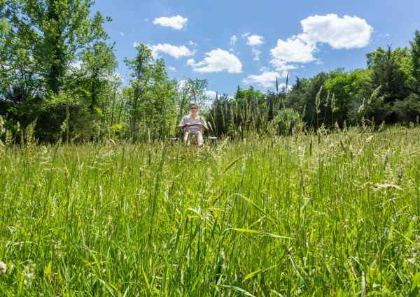 Long Grass Mowing in Ithaca