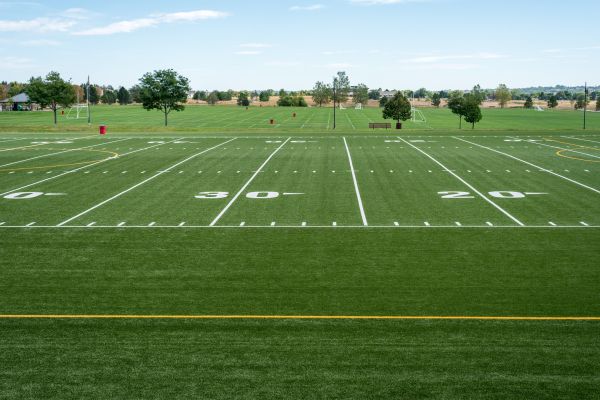 Groundskeeping Service in Ithaca