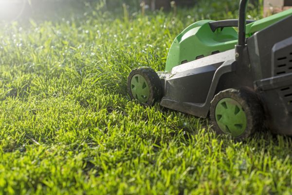 Cost of Yard Trimming in Ithaca