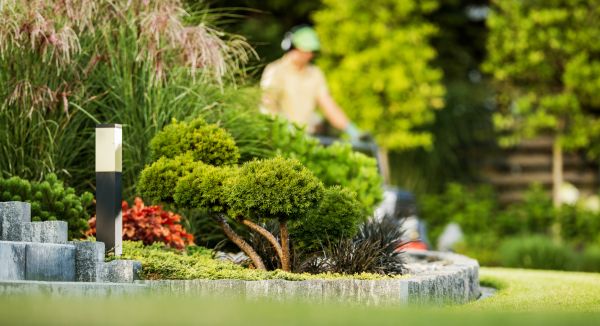 Residential Yard Maintenance in Ithaca