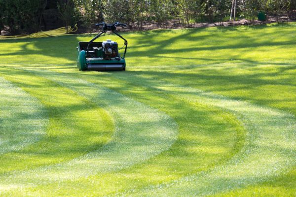 Business Lawn Mowing in Ithaca