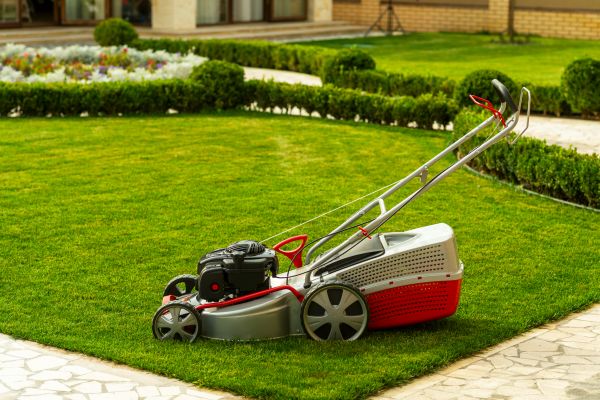 Business Grass Cutting in Ithaca