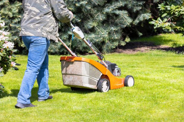 Springtime Lawn Care in Ithaca