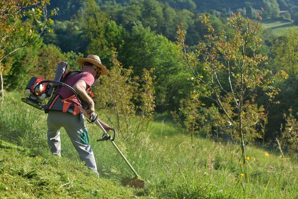 Slope Mowing in Ithaca