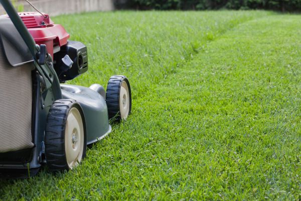 Spring Lawn Maintenance in Ithaca